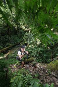 BIB: 
                            <button type="button" onclick="openModal(16028539)" class="btn btn-primary btn-sm float-right btn-popup" data-toggle="modal" data-target=".modal-high-quality">
                        <i class="fas fa-shopping-cart"></i> Add to Cart
                    </button>
                                            <button type="button" onclick="isThisMe(16028539, true)" class="btn btn-success btn-sm float-right btn-popup btn-isme hidden" data-toggle="tooltip" data-placement="bottom" title="นี่คือรูปของคุณใช่ไหม คลิกที่นี่เพื่อเอาเข้าอัลบั้ม">
                        <i class="fas fa-plus"></i> Add to album
                    </button>
                    <button type="button" onclick="isThisMe(16028539, false)" class="btn btn-warning btn-sm float-right btn-popup btn-isnotme hidden">
                        <i class="fas fa-ban"></i> Remove from album
                    </button>